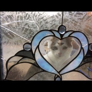 Meet your Posher, Kay